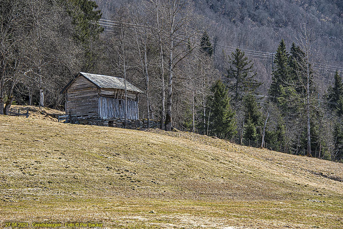 Grindshaugen