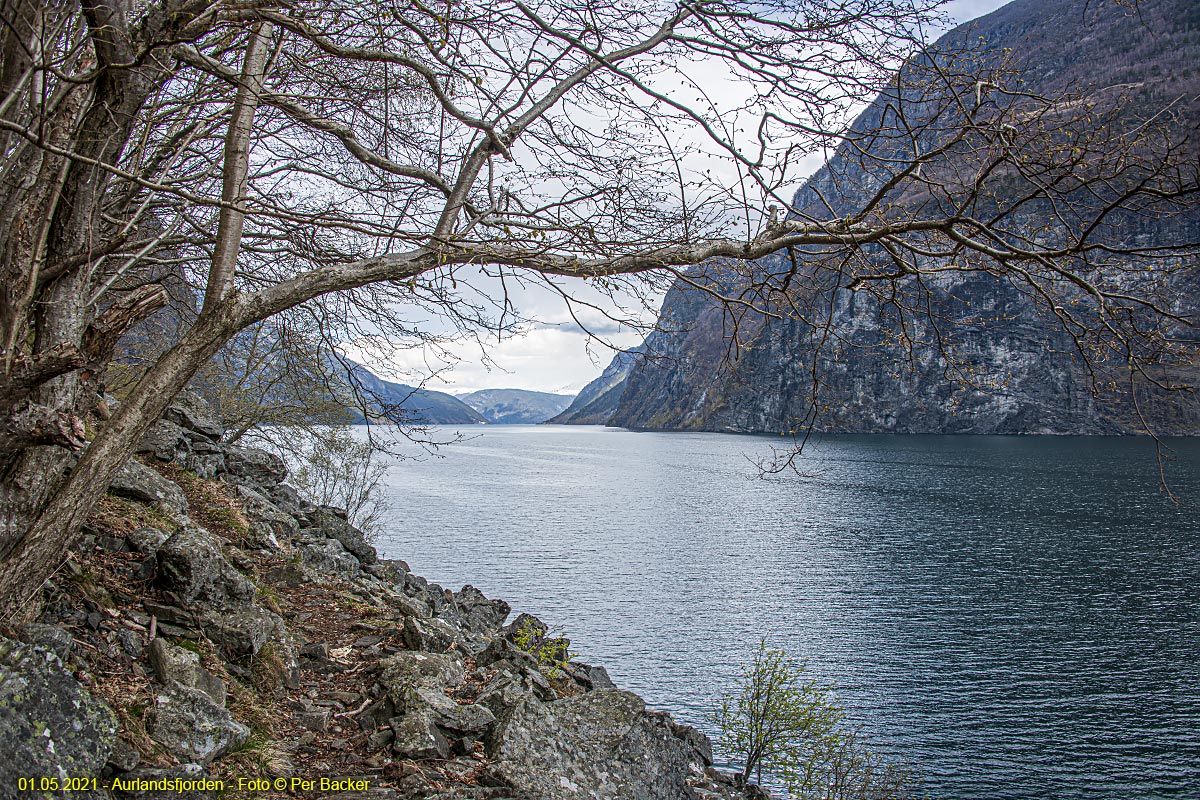 Aurlandsfjorden