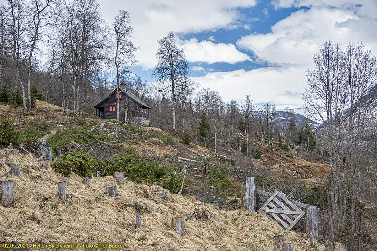 Hytte i Skjervheimslia