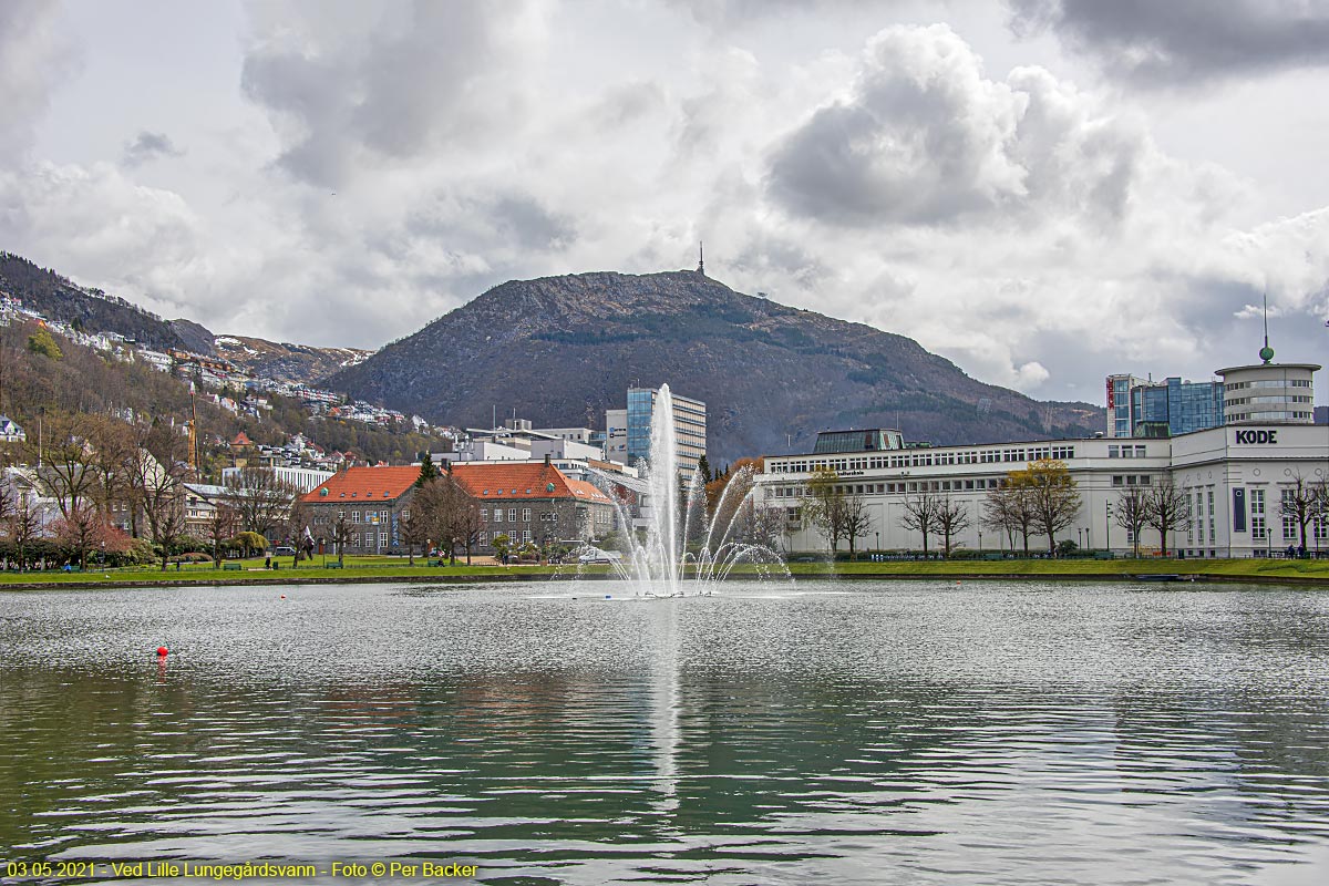 Ved Lille Lungegårdsvann