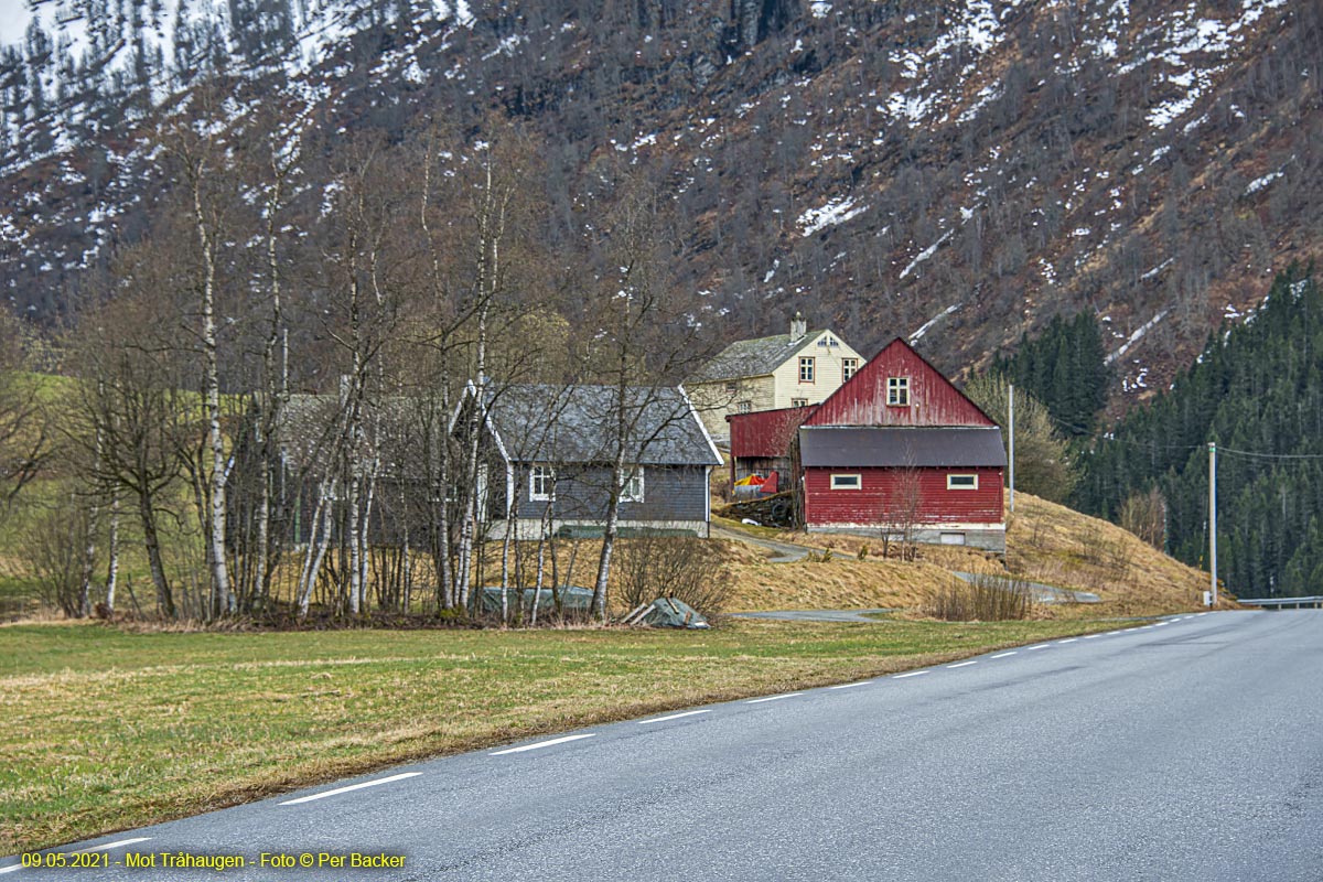 Mot Tråhaugen