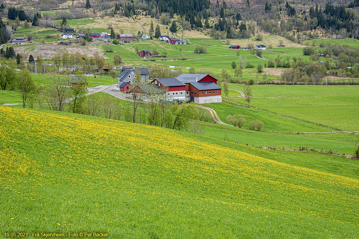 Frå Skjervheim