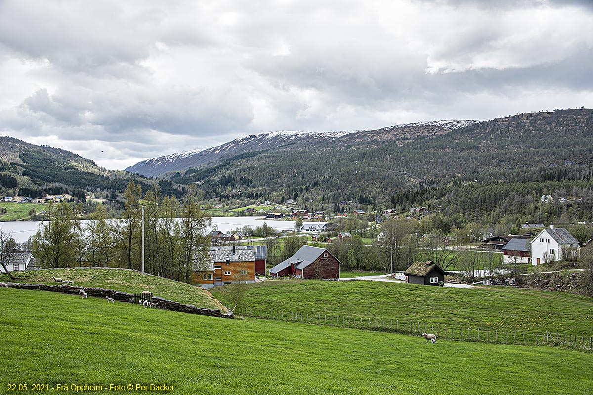 Frå Oppheim