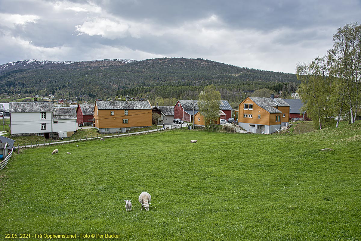 Frå Oppheimstunet