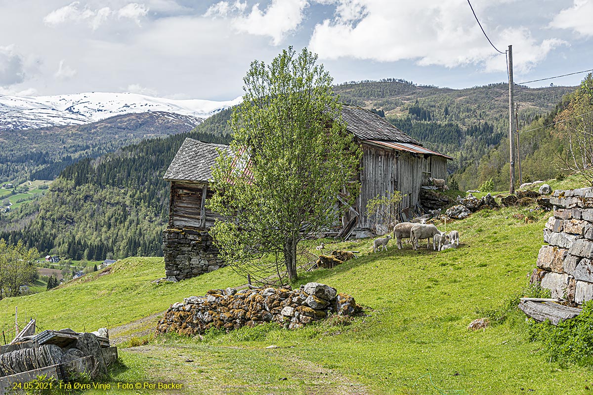 Frå Øvre Vinje