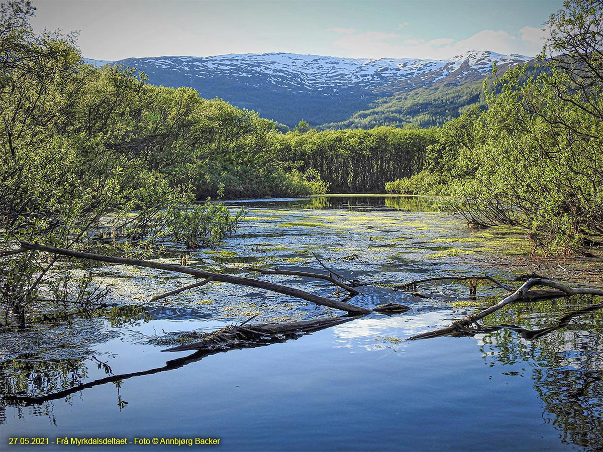 Frå Myrkdalsdeltaet