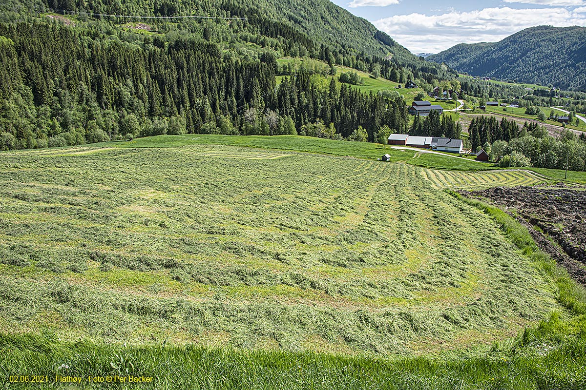 Flathøy på Mørkve