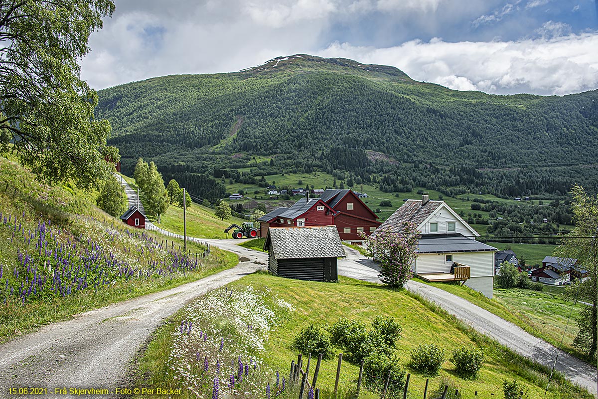 Frå Skjervheim