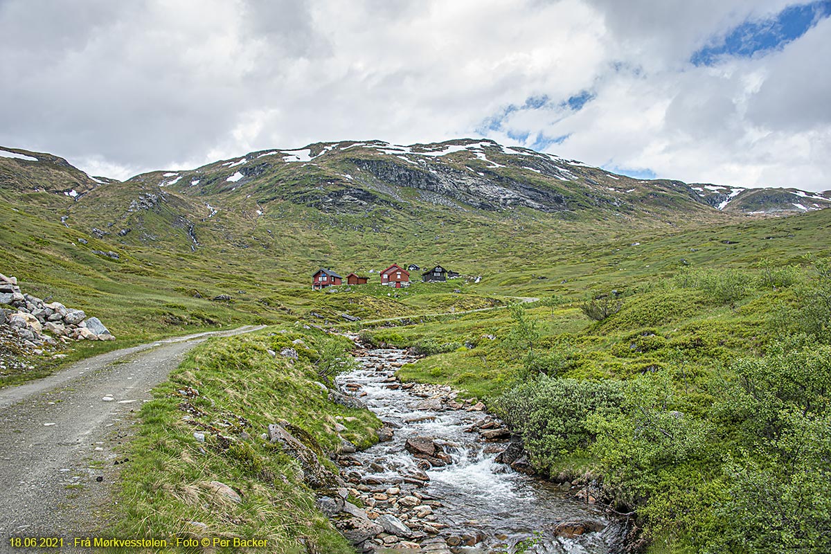 Frå Mørkvesstølen