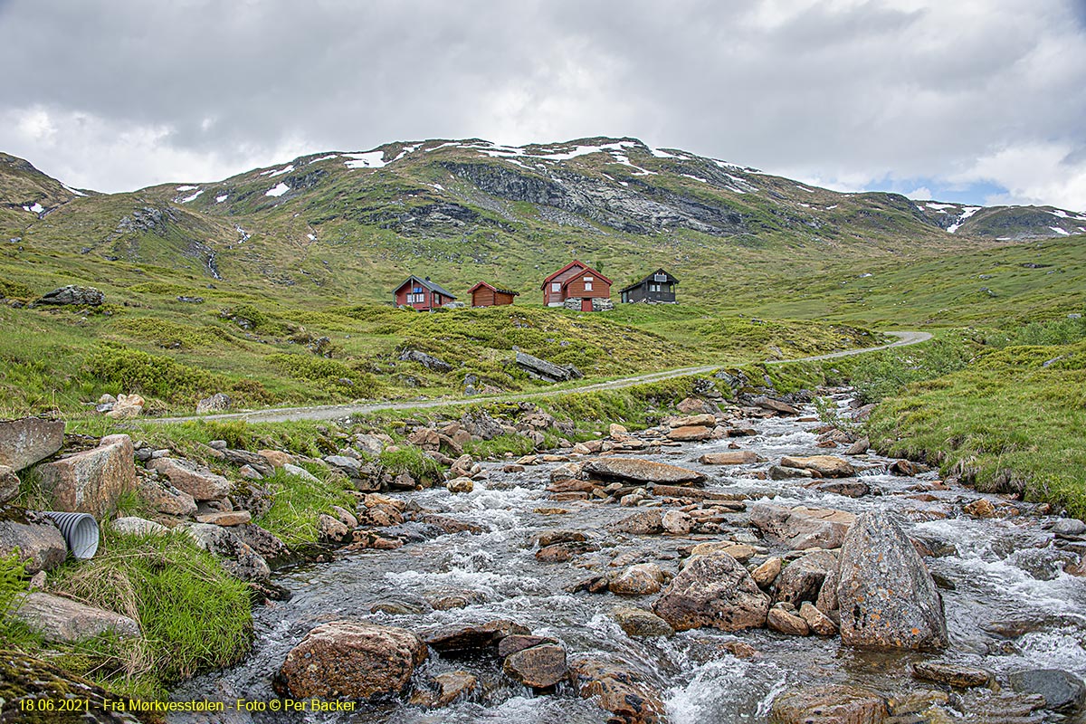 Frå Mørkvesstølen