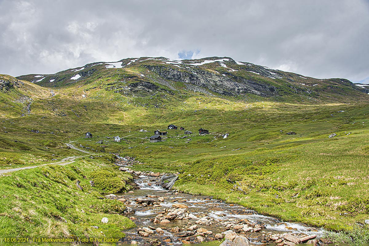 Frå Mørkvesstølen