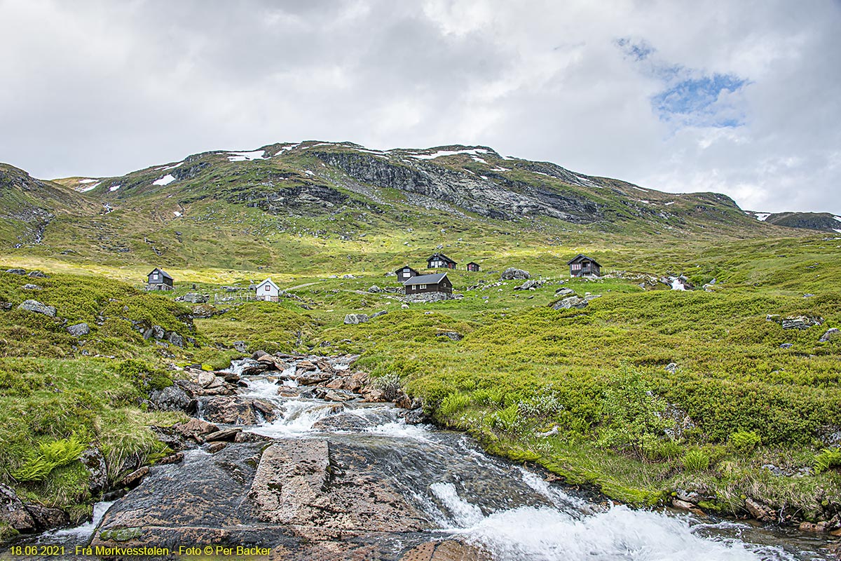 Frå Mørkvesstølen