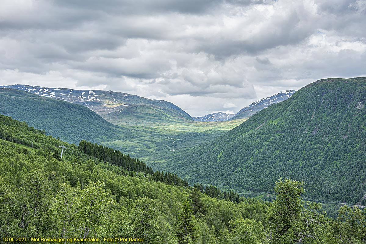 Mot Revhaugen og Kvanndalen