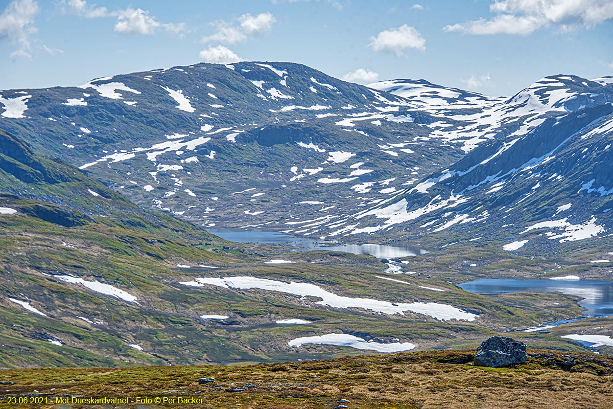 Dueskardvatnet