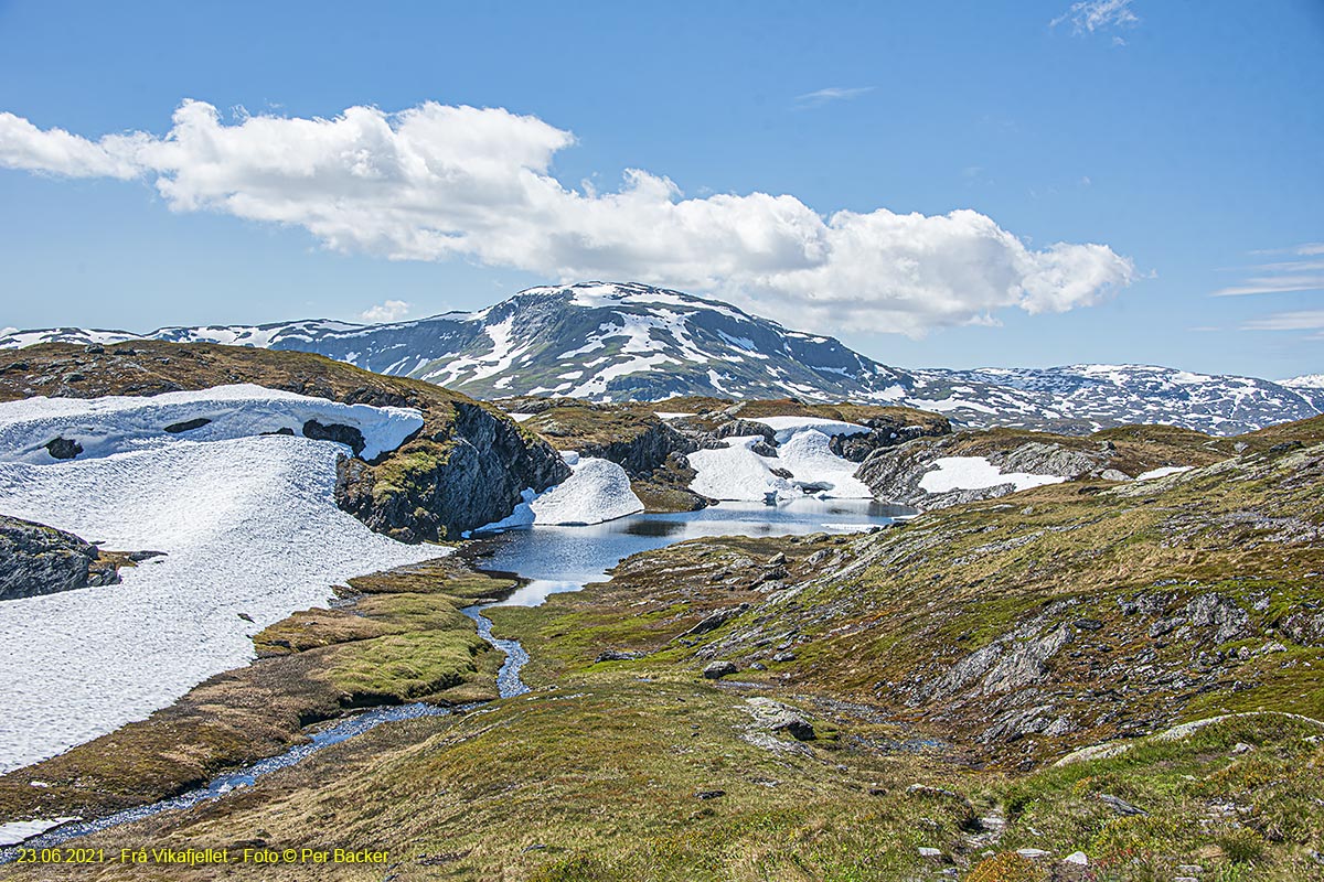 Frå Vikafjellet