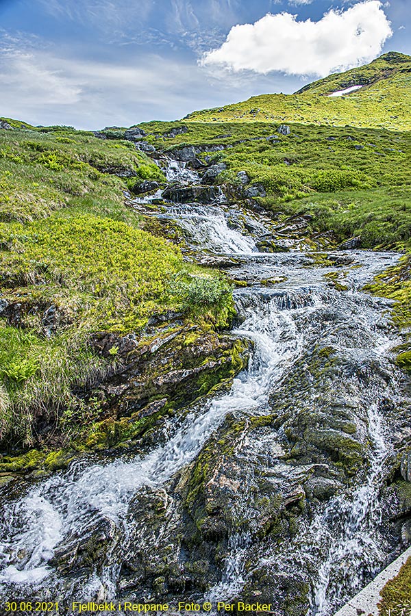 Fjellbakk i Reppane