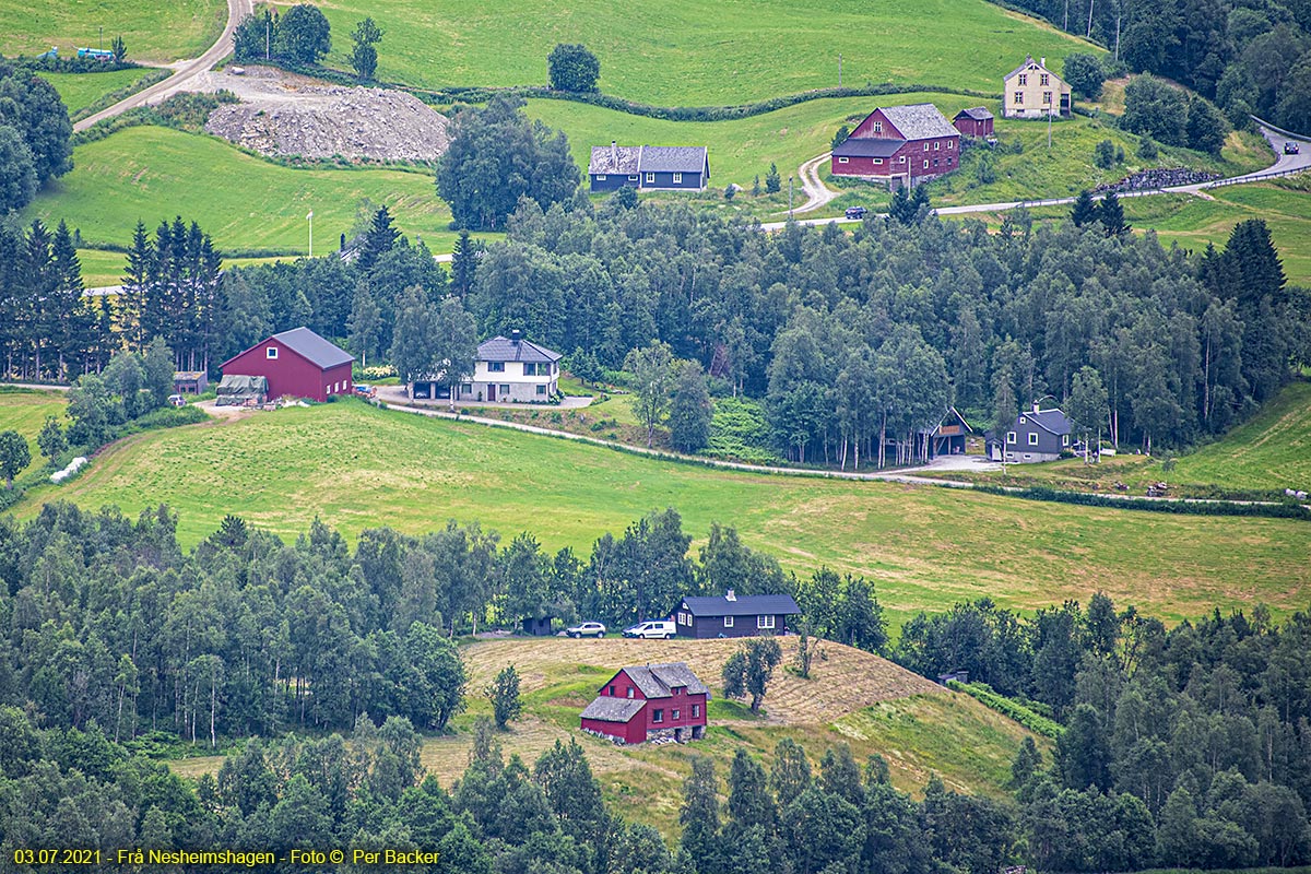 Frå Nesheimshagen