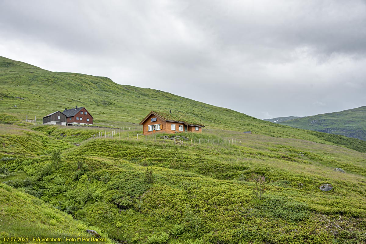 Frå Vetlebotn