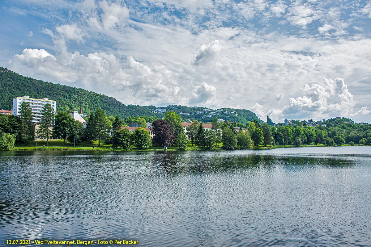 Ved Tveitevannet, Bergen