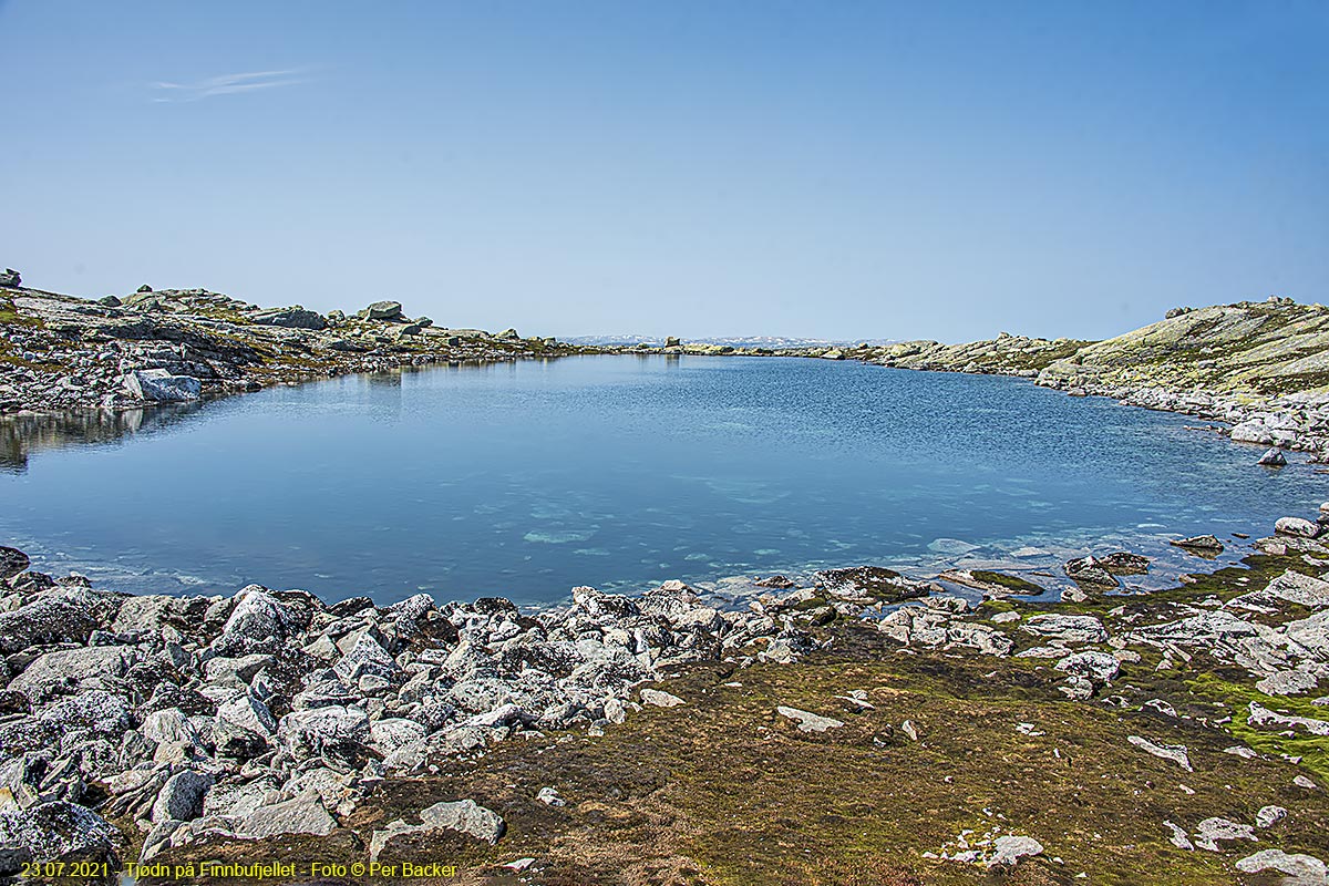 Tjødn på Finnbufjellet