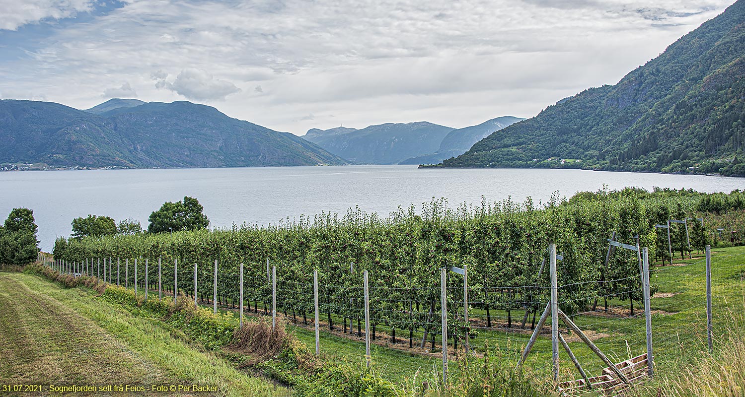 Sognefjorden sett frå Feios