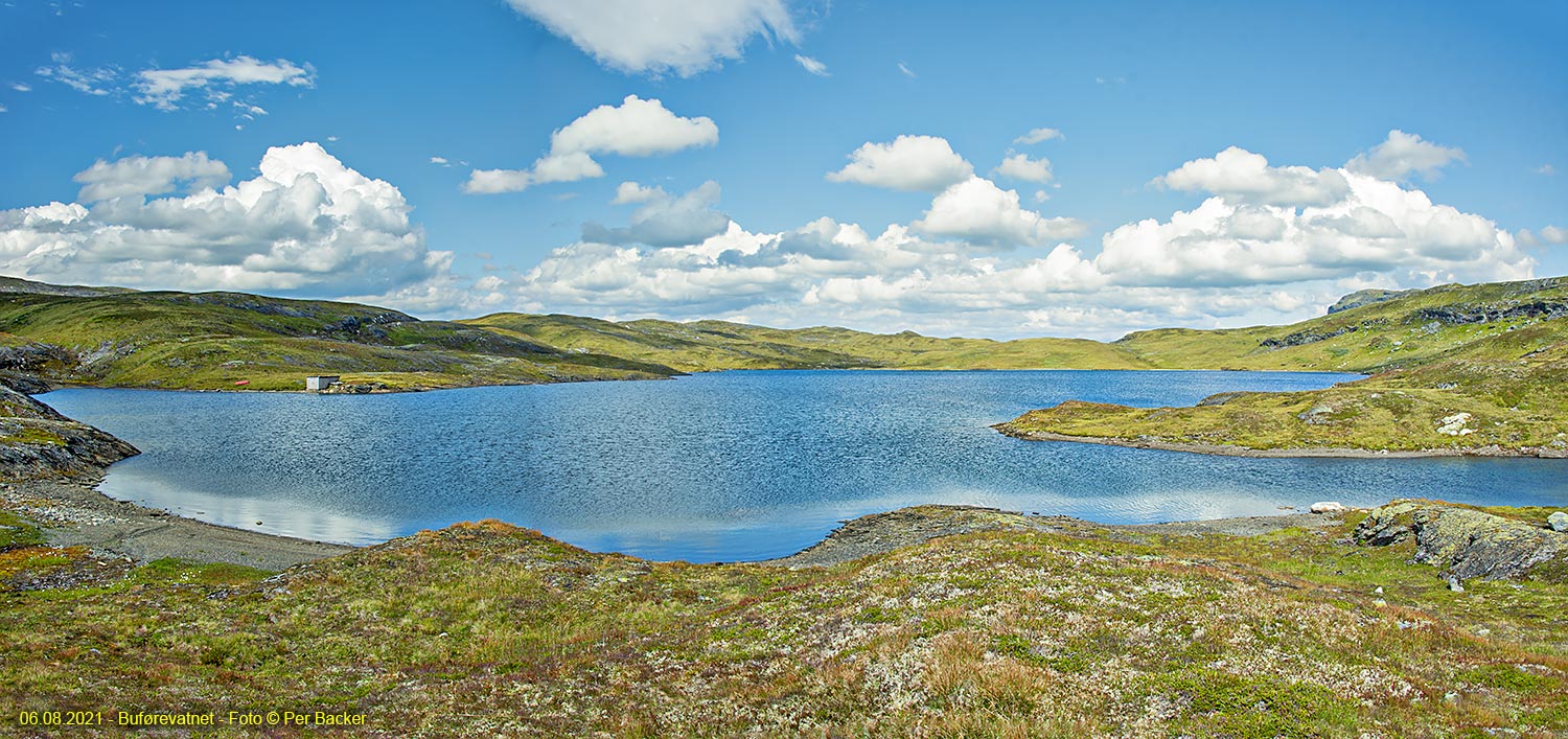 Buførevatnet