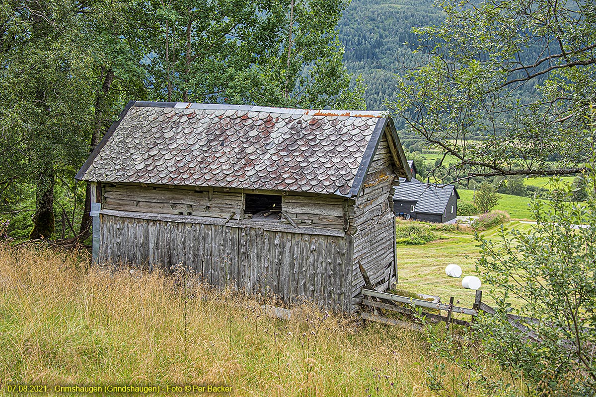 Grimshaugen (Grindshaugen)