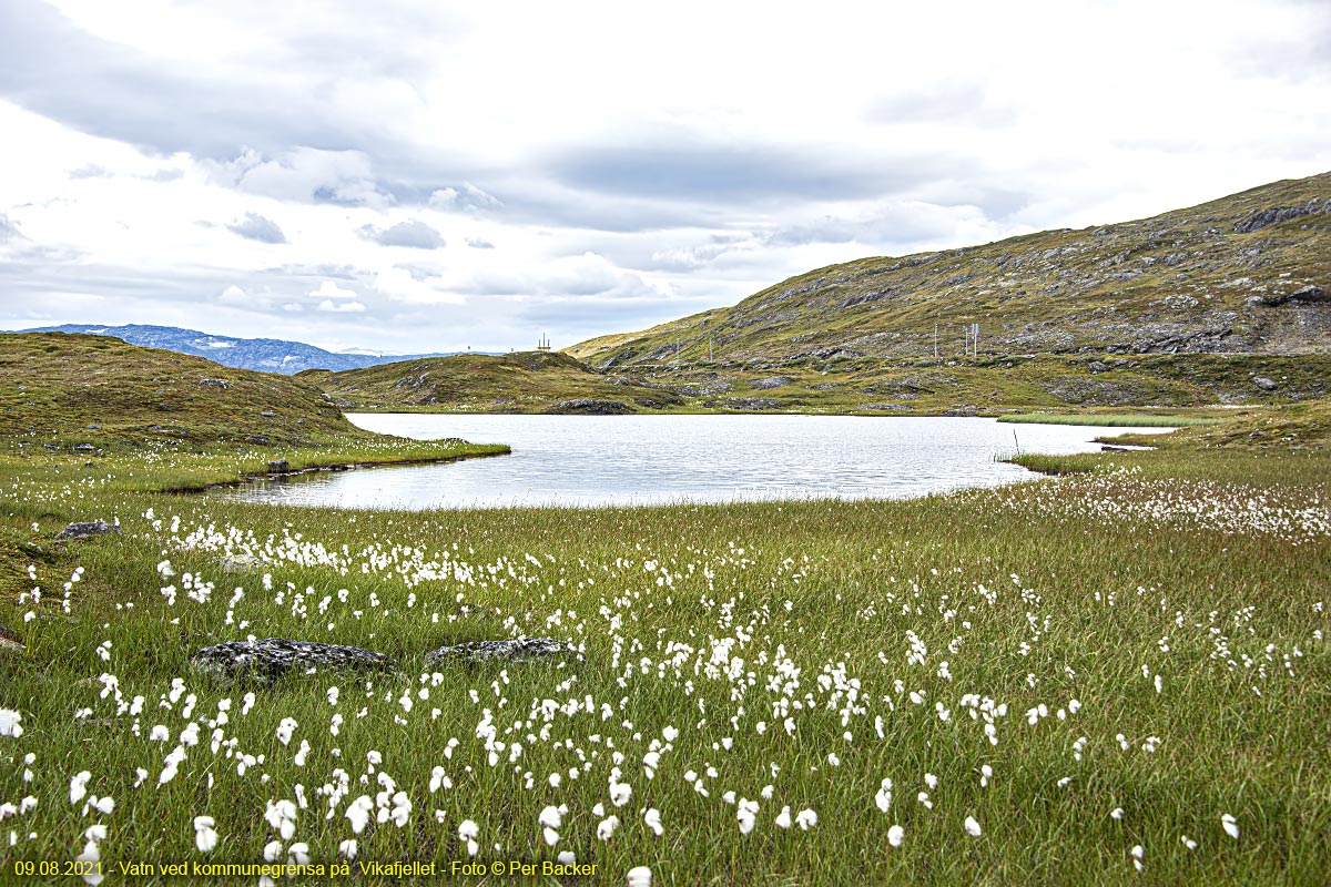 Vatn ved kommunegrensa på Vikafjellet