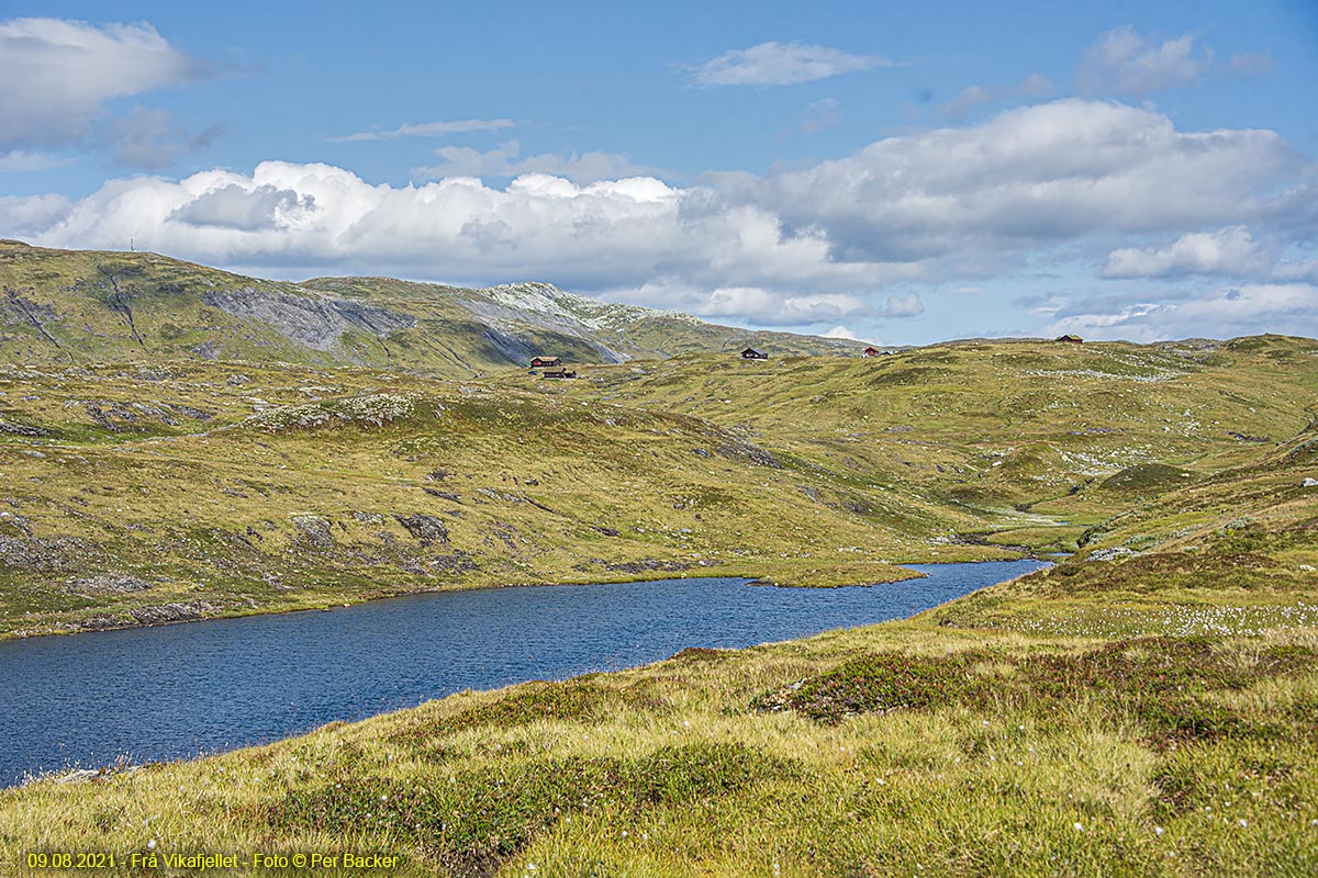 Frå Vikafjellet