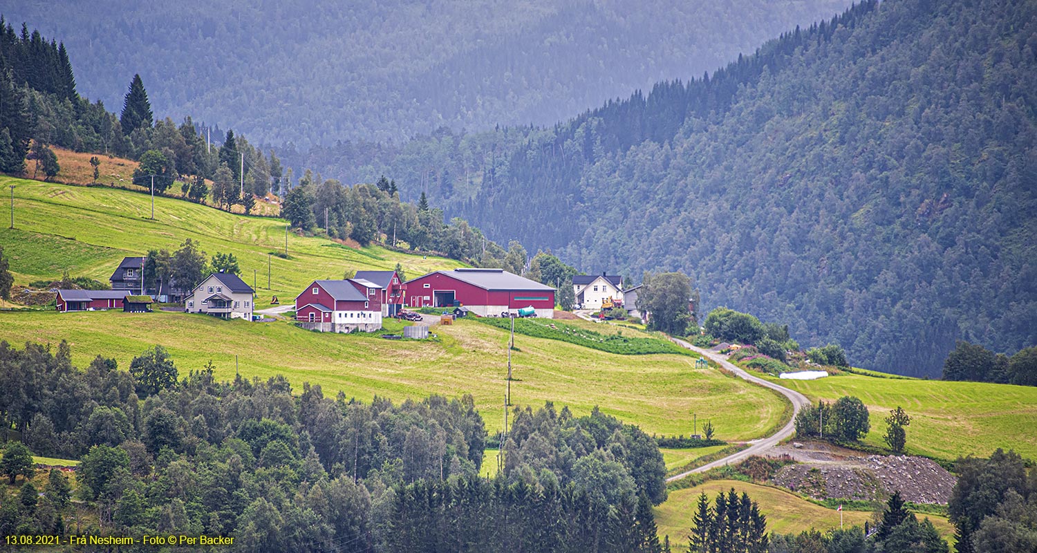 Frå Nesheim