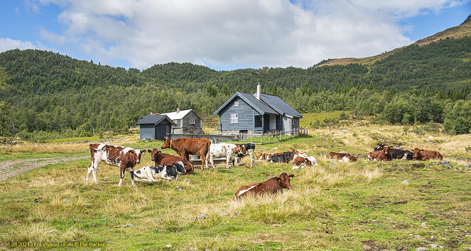 Frå Øyaset