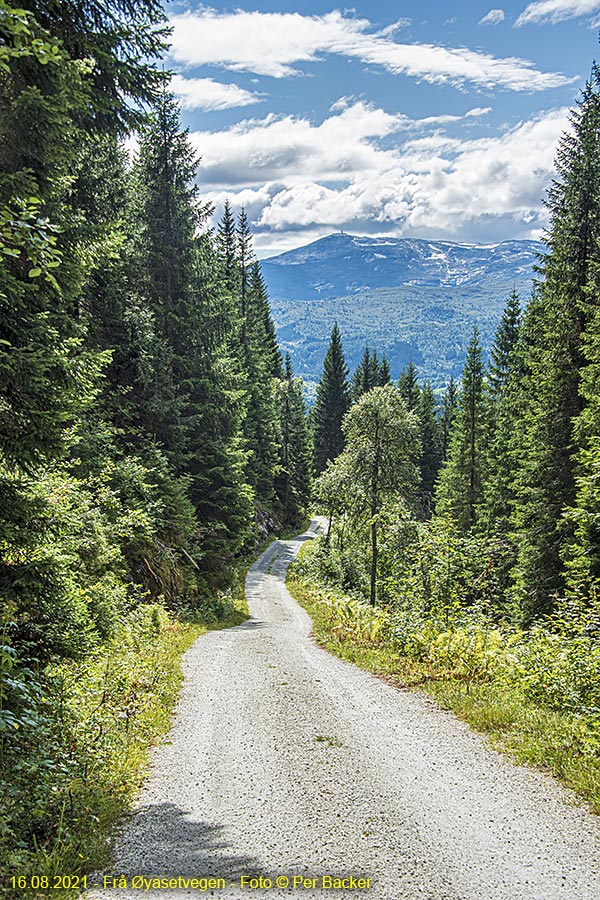 Frå Øyasetvegen