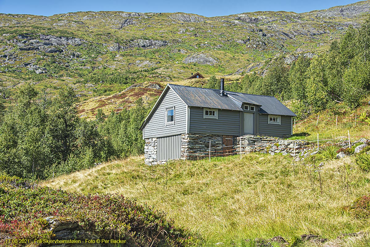 Frå Skjervheimstølen