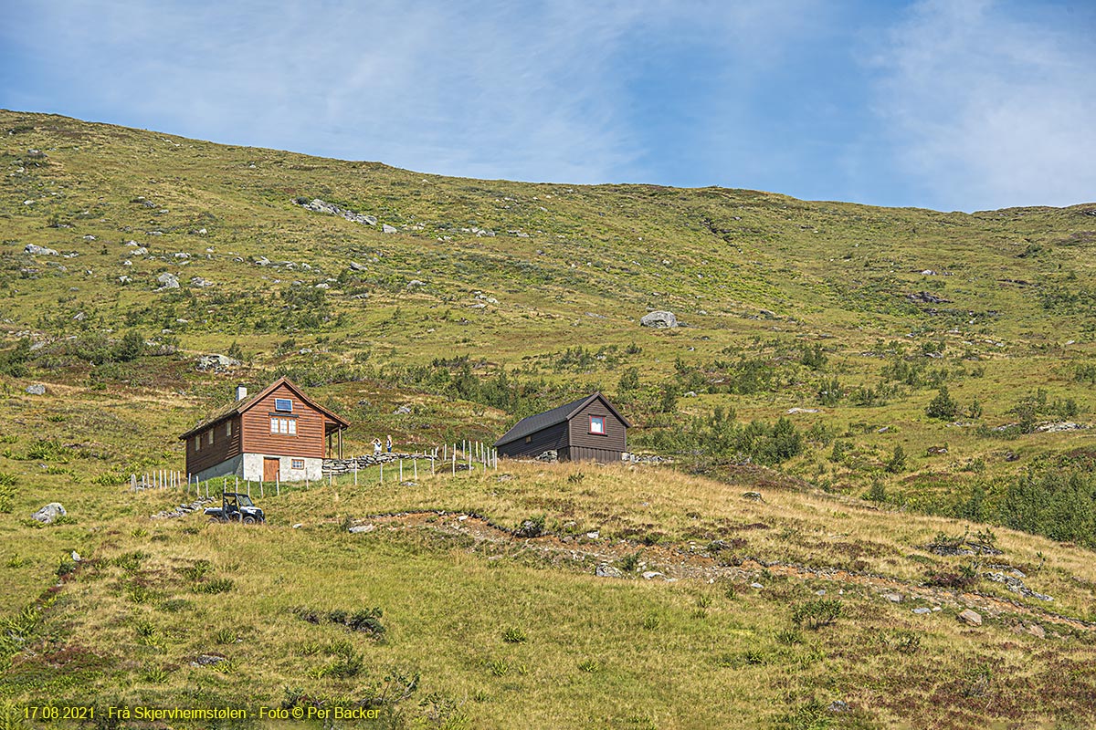 Frå Skjervheimstølen