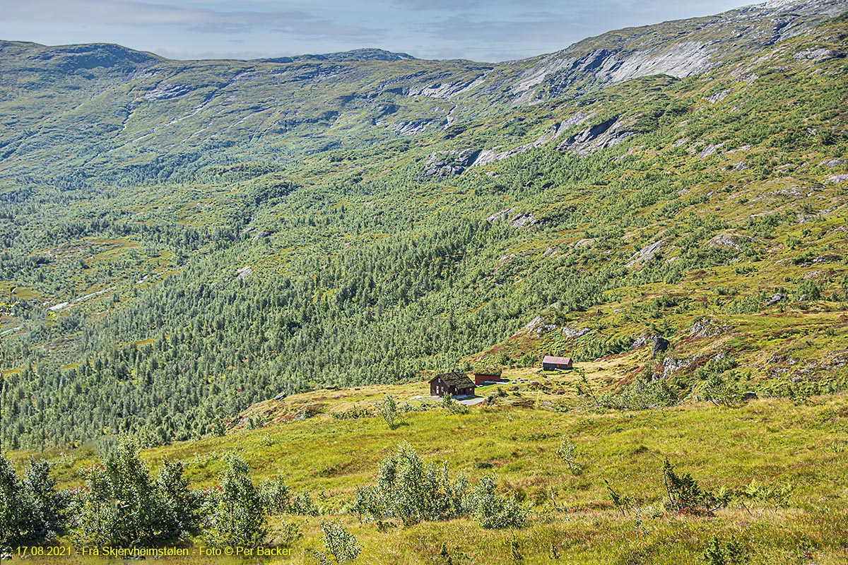 Frå Skjervheimstølen