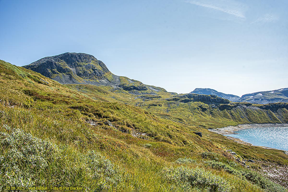 Ved Blåfjell