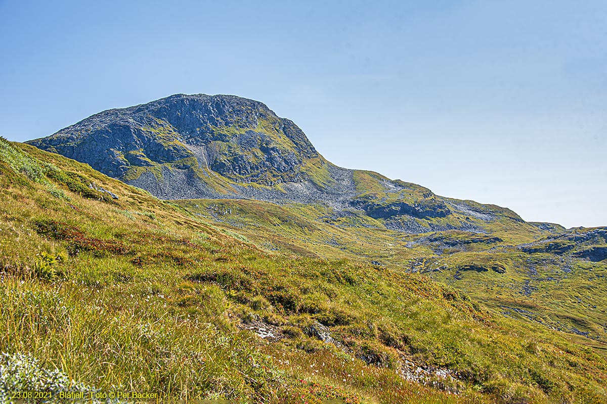 Blåfjell