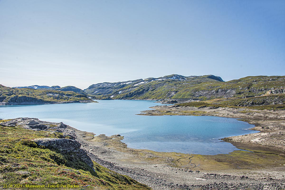 Muravatnet