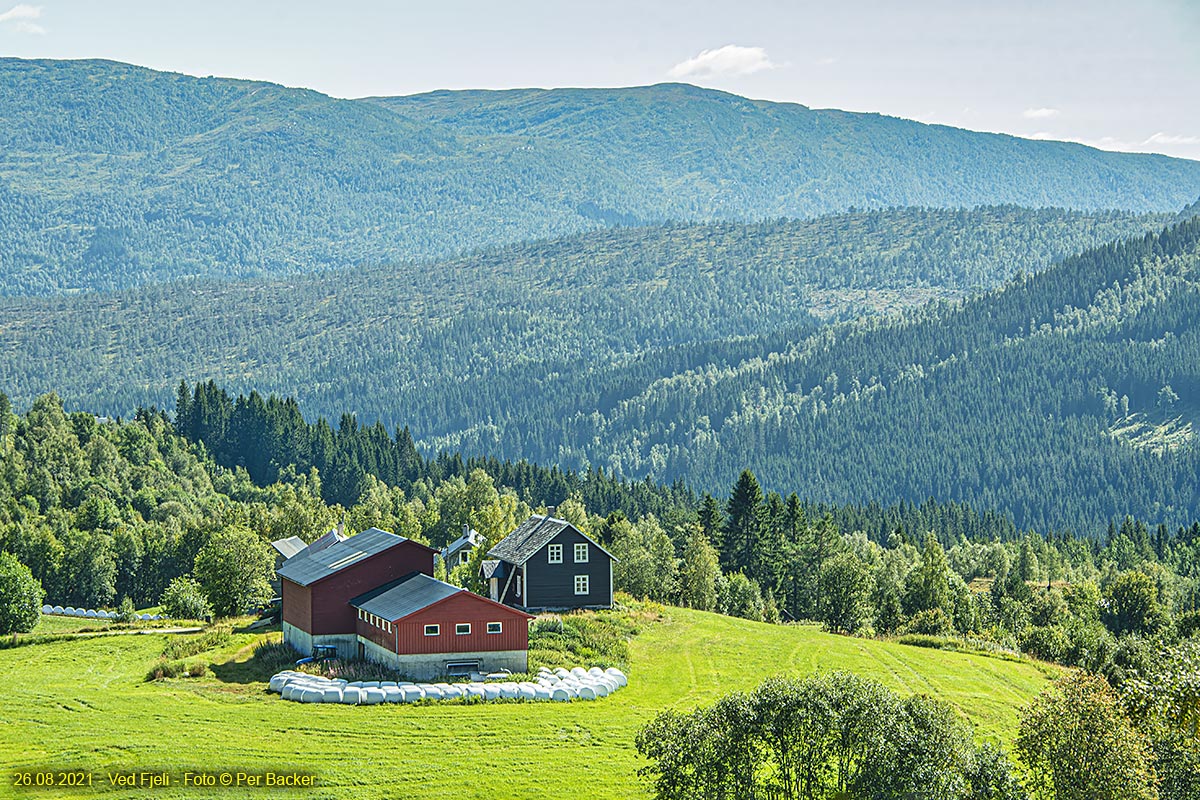 Ved Fjeli