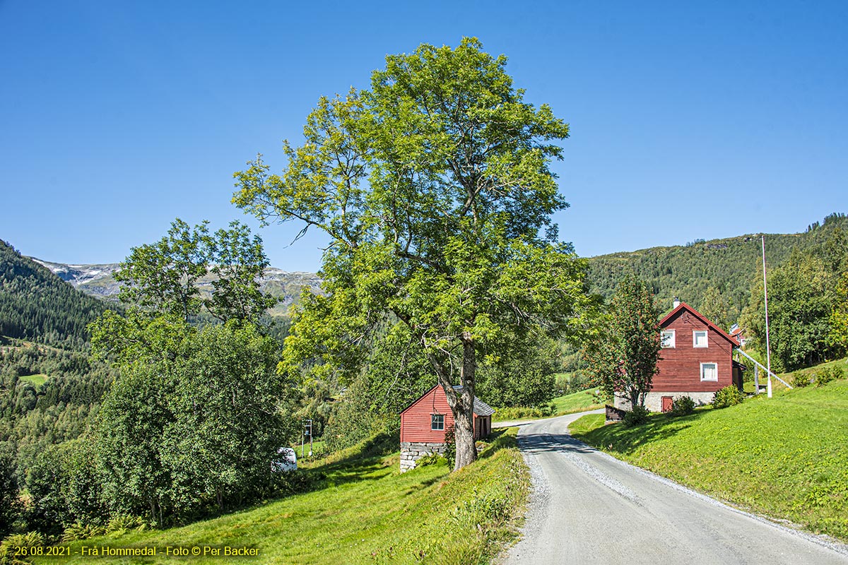 Frå Hommedal