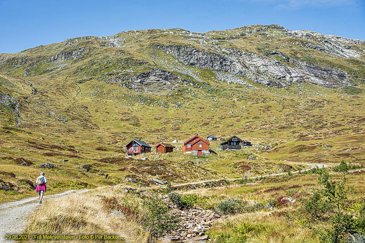 Frå Mørkvesstølen