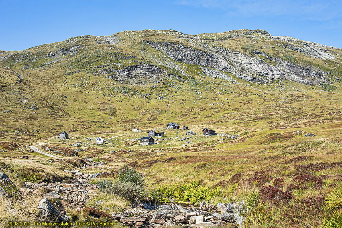 Frå Mørkvesstølen