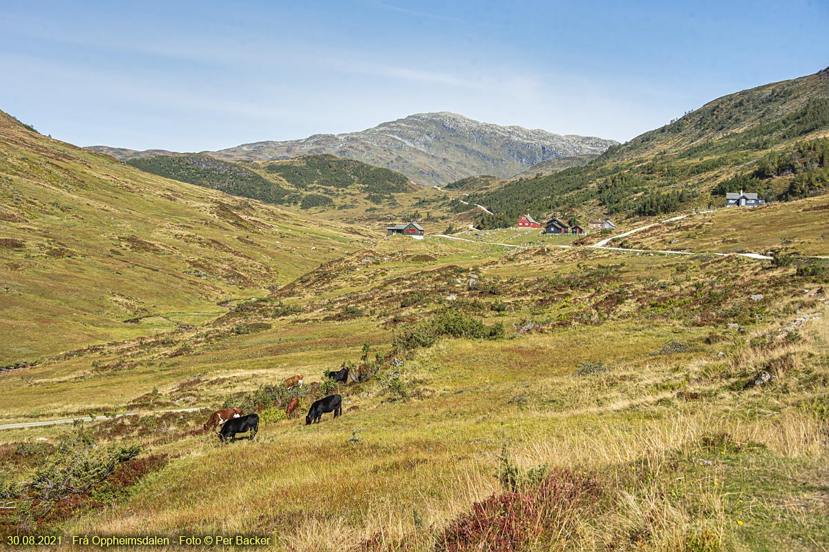 Frå Oppheimsdalen