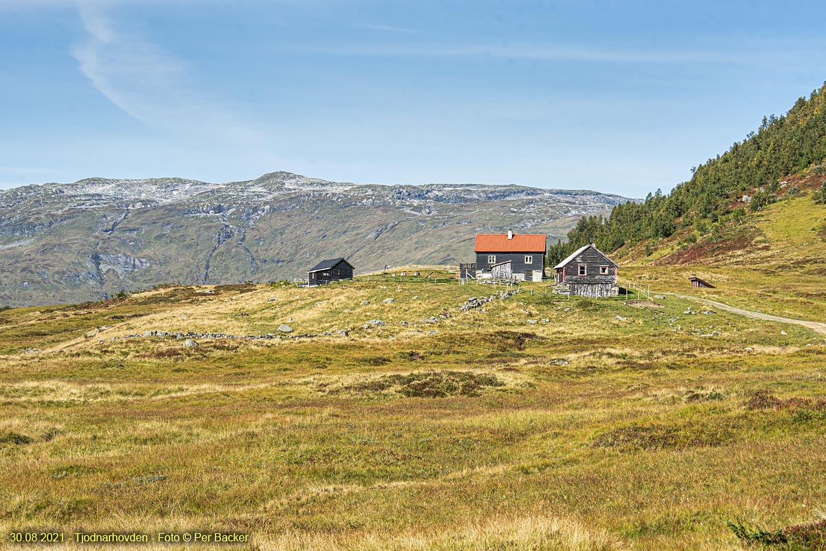 Tjødnarhovden