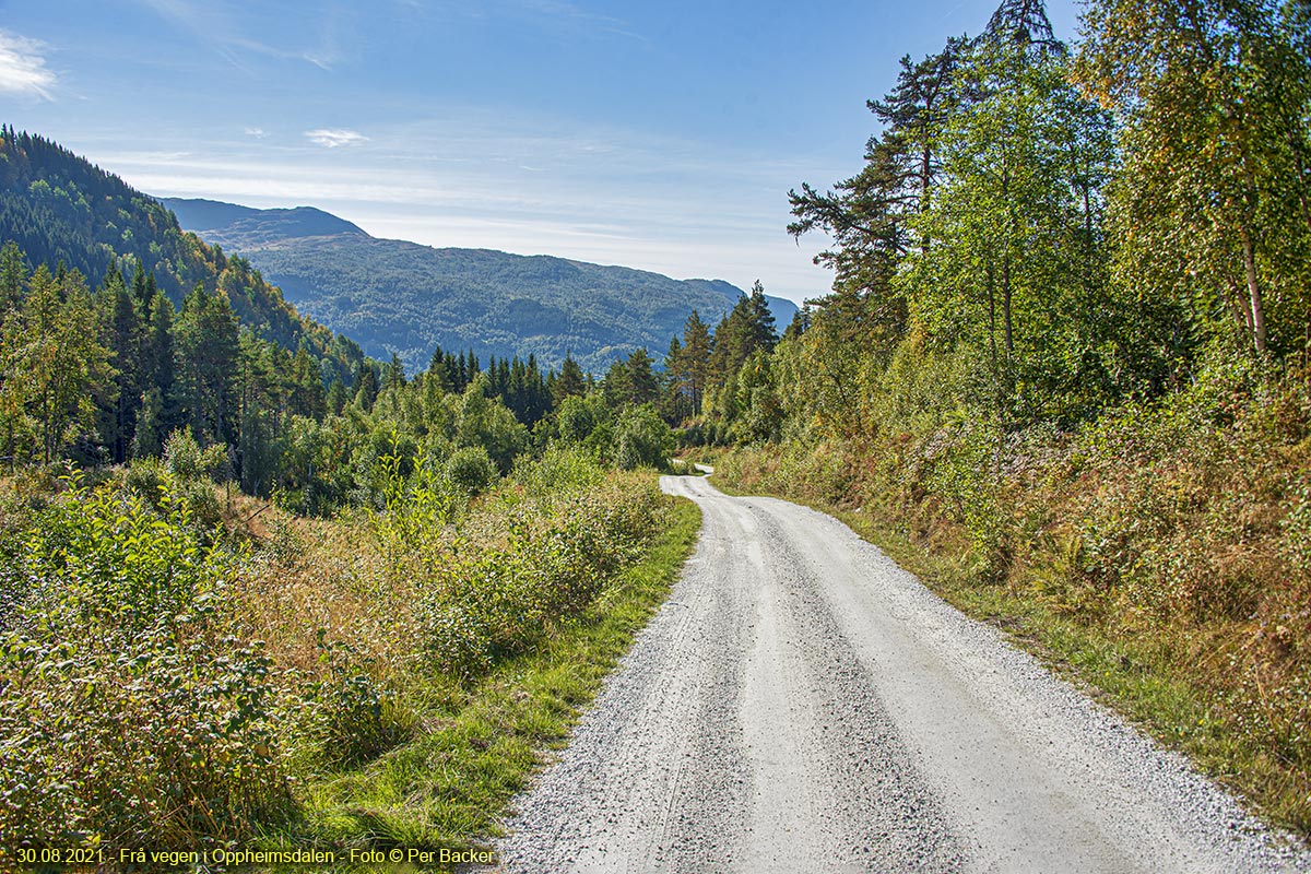 Frå vegen i Oppheimsdalen