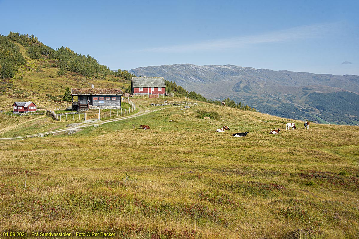 Frå Sundvesstølen