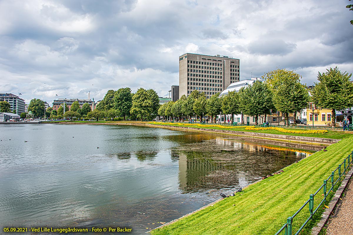 Lille Lungegårdsvann