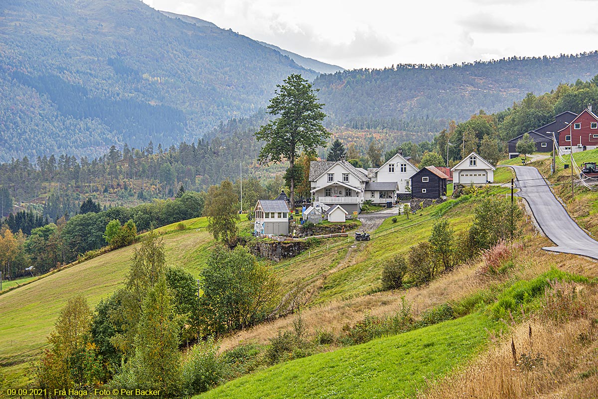 Frå Haga