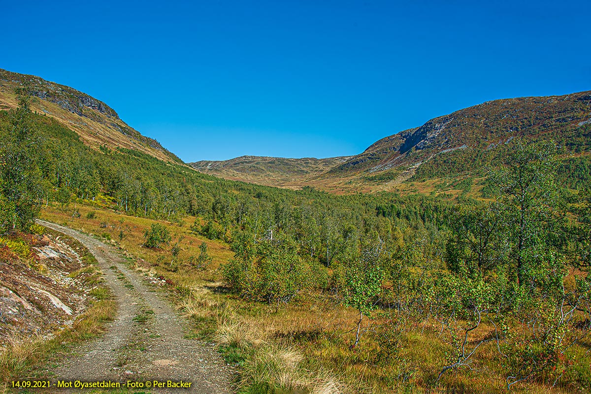 Mot Øyasetdalen