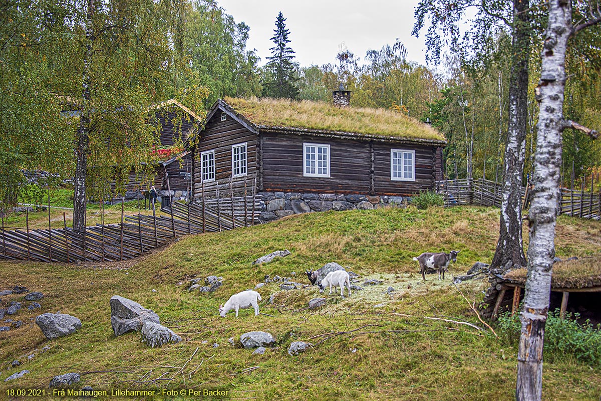 Frå Maihaugen, Lillehammer